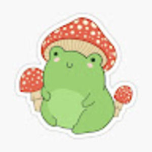 Meet your Posher, Lucy